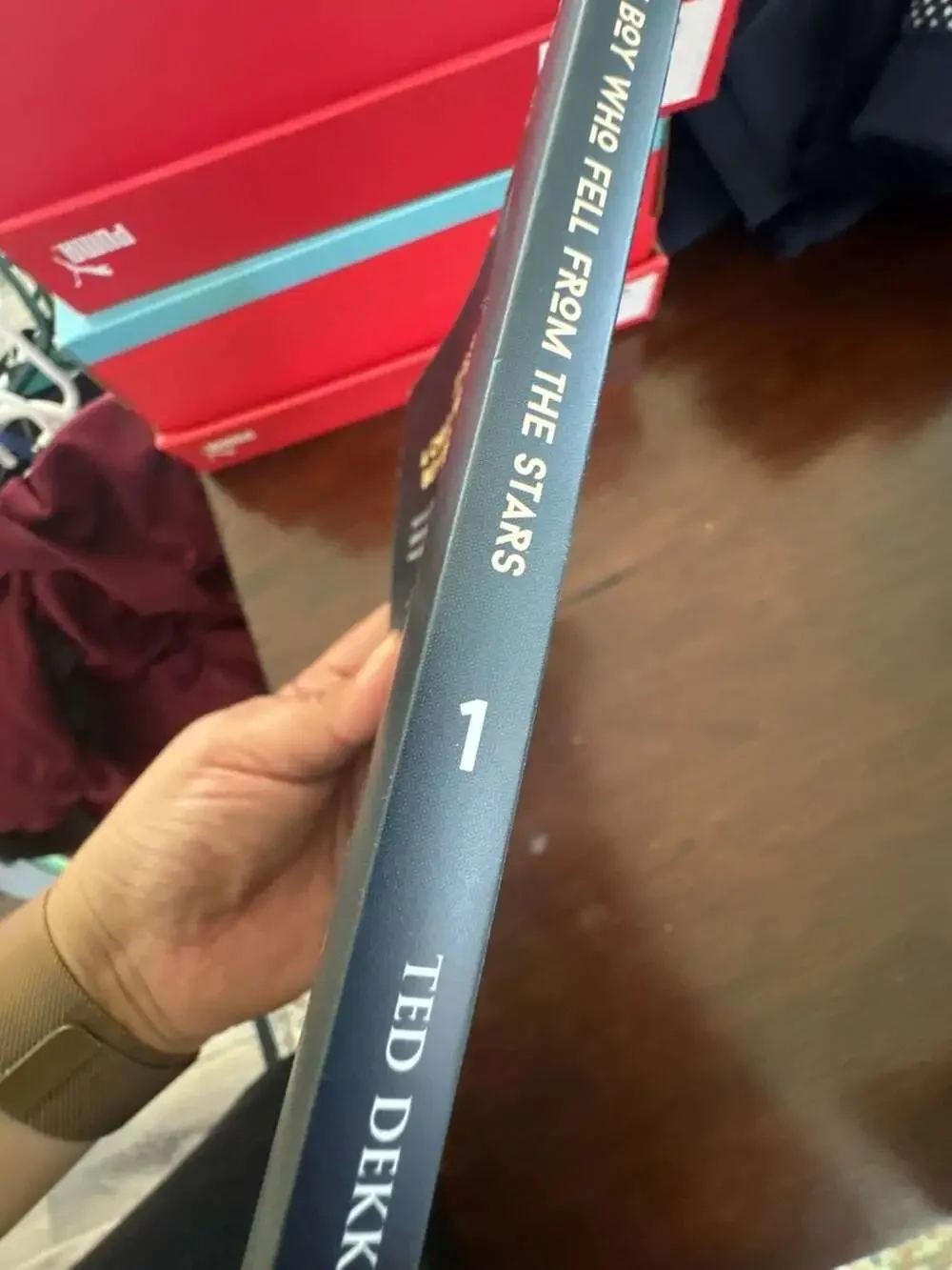 And They Found Dragons: The Boy Who Fell From the Stars by Ted Dekker & Rachelle